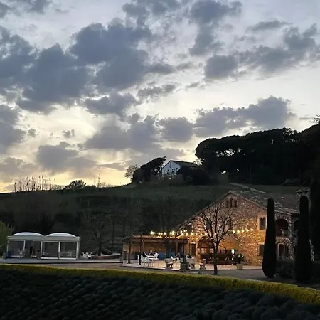 Mas Segart 乡村民宿 *