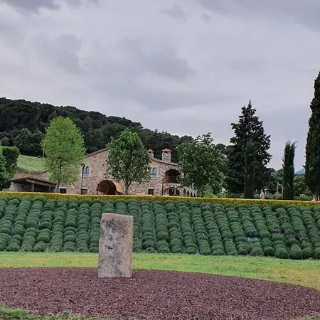 Country house Mas Segart